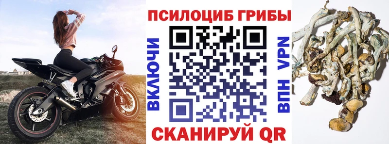 Псилоцибиновые грибы мухоморы Печора